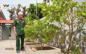 Phóng sự: Nhân chứng mùa xuân