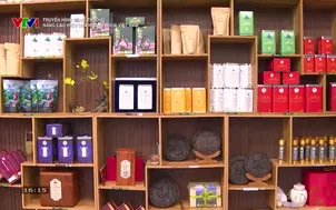 Truyền hình Công thương: Nâng cao hiệu quả ngành nhựa Việt Nam