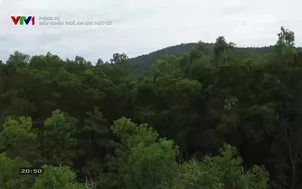 Phóng sự: Điểm nghẽn thuế, khi nào tháo gỡ