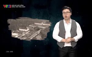 Giải mã cuộc sống: Đồng tiền trâu xanh