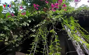 Kiến thức cộng đồng: Góc thiên nhiên của bạn - Số 3