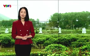 Bất động sản an toàn: Xu thế phát triển công viên nghĩa trang