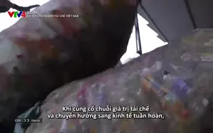 Bizline: Cơ hội cho ngành tái chế Việt Nam
