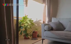 Kiến thức cộng đồng: Góc thiên nhiên của bạn- Tập 4