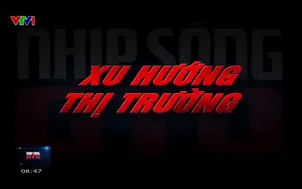 Nhịp sống ô tô - 27/4/2025