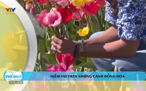 Thế giới quanh ta 2025: Số 17