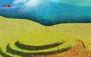 Từ những miền quê: Đảo Hà Nam Nhịp sống trên sông