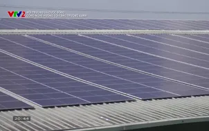 Môi trường và cuộc sống: Công nghệ hướng tới tăng trưởng xanh