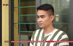 Hồ sơ công tố - Kiểm sát - 01/5/2025