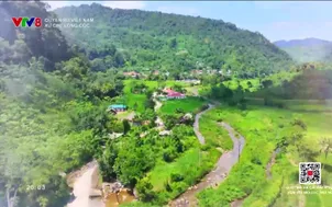 Quyến rũ Việt Nam: Xứ chè Long Cốc