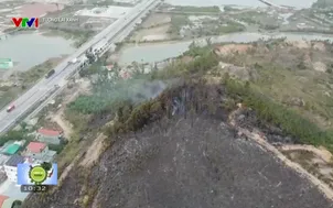 Tương lai xanh - 03/5/2025