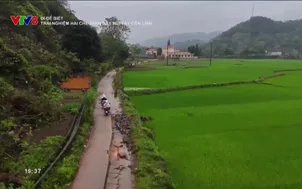 Đi để biết: Trải nghiệm hái chè trên dãy núi Tây Côn Lĩnh