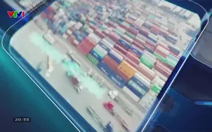 Hải quan Việt Nam - 06/5/2025