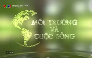 Môi trường và cuộc sống: Giao thông xanh