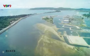 X-Show: Khám phá rừng Cát Tiên - Tập 1