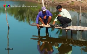 Dân tộc và phát triển: Nuôi trồng thủy sản thích ứng thị trường