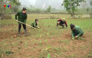 Phụ nữ và cuộc sống: Cô gái Nùng khởi nghiệp