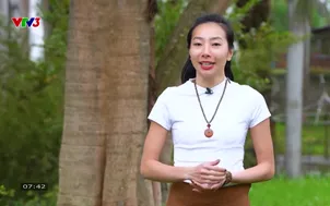 Mỗi ngày một niềm vui - 10/5/2025