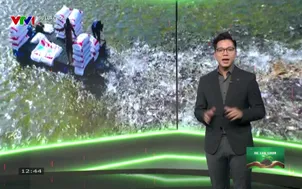 Sự lựa chọn - 10/5/2025