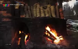 Đường lên đỉnh Olympia - 11/5/20255