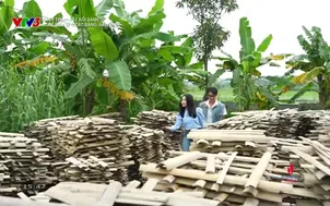 Hành trình kết nối xanh: Nghề bền bỉ ở Cát Đằng, Nam Định