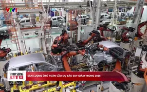 Nhịp sống ô tô - 11/5/2025