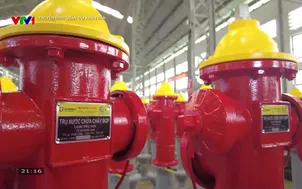 Truyền hình Quân đội nhân dân - 11/5/2025