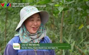 Nông nghiệp xanh: Đổi mới sáng tạo trong nông nghiệp