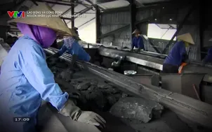 Lao động và công đoàn: Nguồn nhân lực khai thác than hầm lò