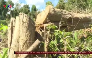 Thời sự 18h VTV8 - 15/5/2025