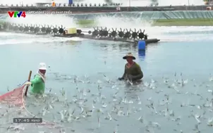 Tạp chí Dân tộc và Phát triển - 16/5/2025