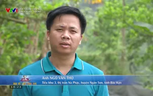 Học và làm theo Bác: Lan tỏa yêu thương