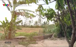 Kiến thức cộng đồng: Nông nghiệp với BĐKH - Phần 3