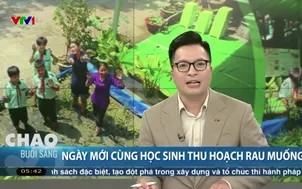 Việt Nam thức giấc - 17/5/2025