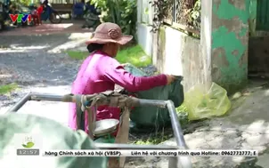 Cặp lá yêu thương - 18/5/2025