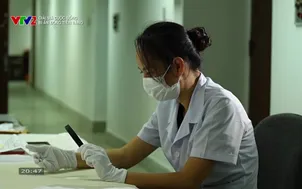 Giải mã cuộc sống: Bí ẩn đồng tiền vàng