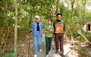 Hành trình kết nối xanh: Những năng lượng diệu kỳ