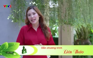 Không gian xanh: Kiến trúc sư Tạ Hoàng Đạt