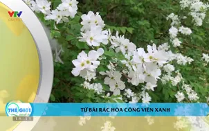 Thế giới quanh ta 2025 - Số 20