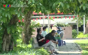 Môi trường và cuộc sống: Hà Nội và bài toán đảo nhiệt