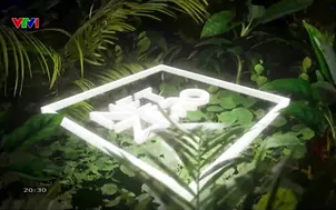 Net Zero - Gửi tương lai - 20/5/2025