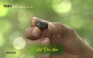 X-Show: Khám phá rừng Cát Tiên - Tập 3