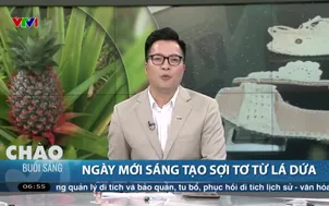 Buổi sáng thức giấc - 21/5/2025