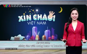 Xin chào, Việt Nam: Tìm hiểu một số loại xôi Việt Nam