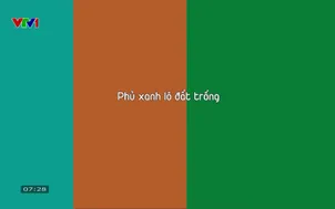 Vì một tương lai xanh - 22/5/2025