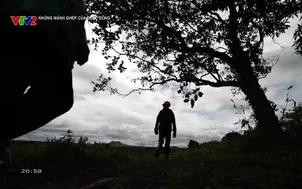 Những mảnh ghép của cuộc sống:  Văn hóa Đồng Đậu - Tập 1