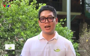 Cặp lá yêu thương - 24/5/2025