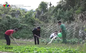 Học và làm theo Bác: Gieo mầm hi vọng nơi biên cương