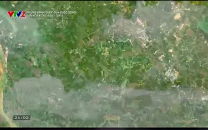 Những mảnh ghép của cuộc sống: Văn hóa Đồng Đậu - Tập 3