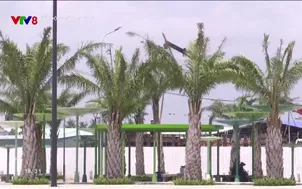 Bất động sản an toàn: Đà Nẵng sức hút thị trường